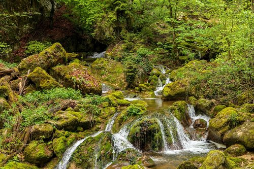 waterfall  mountain stream  green