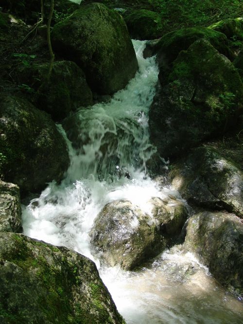waterfall bank bach