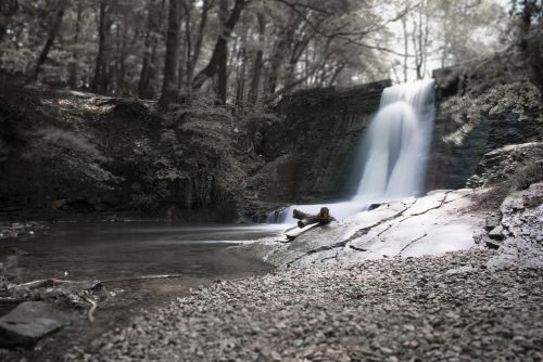 waterfall water tree