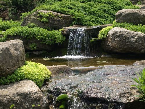 waterfall moss water