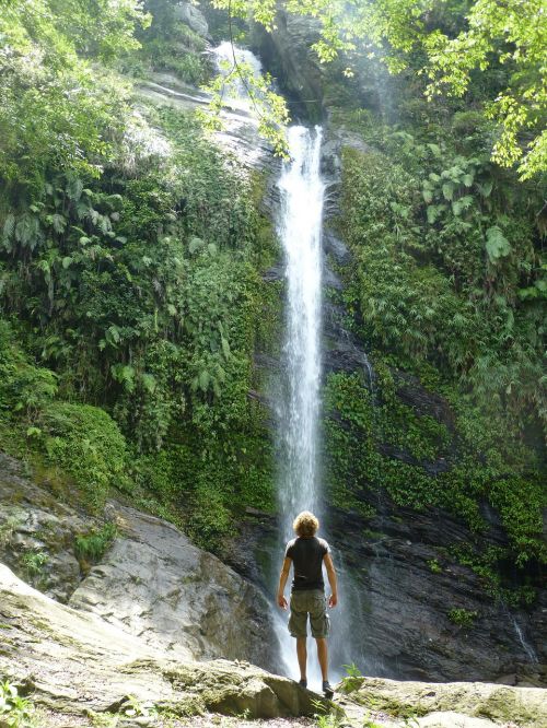 waterfall taiwan jungle