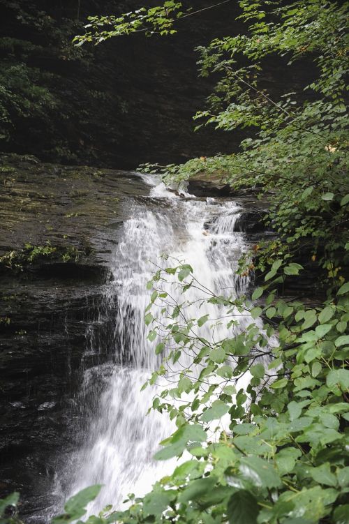 waterfall creek water