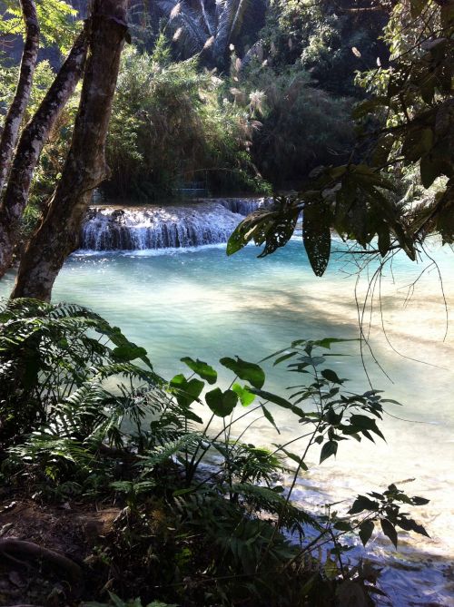 waterfall tropical waterfall laos