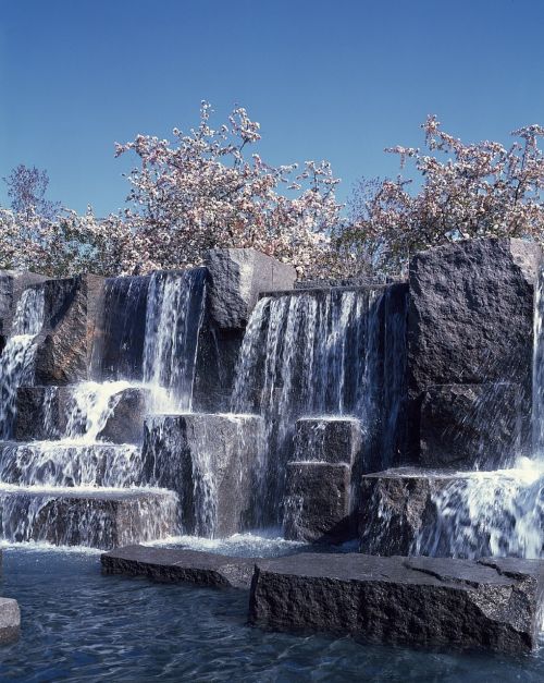waterfall memorial trees