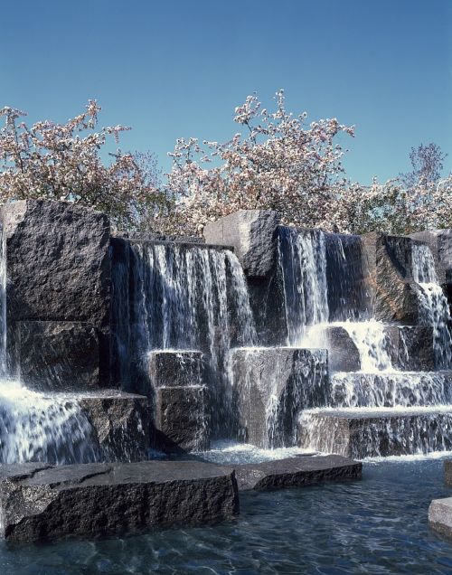 waterfall memorial trees