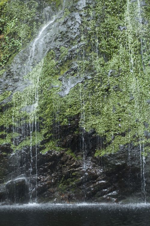 waterfall river water