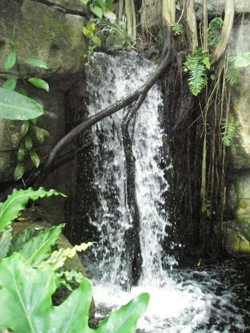 waterfall water nature