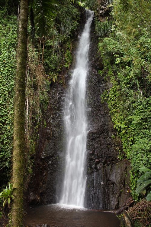 waterfall nature cascade