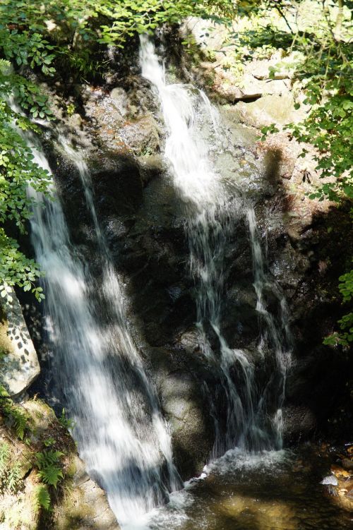 waterfall forest sweden