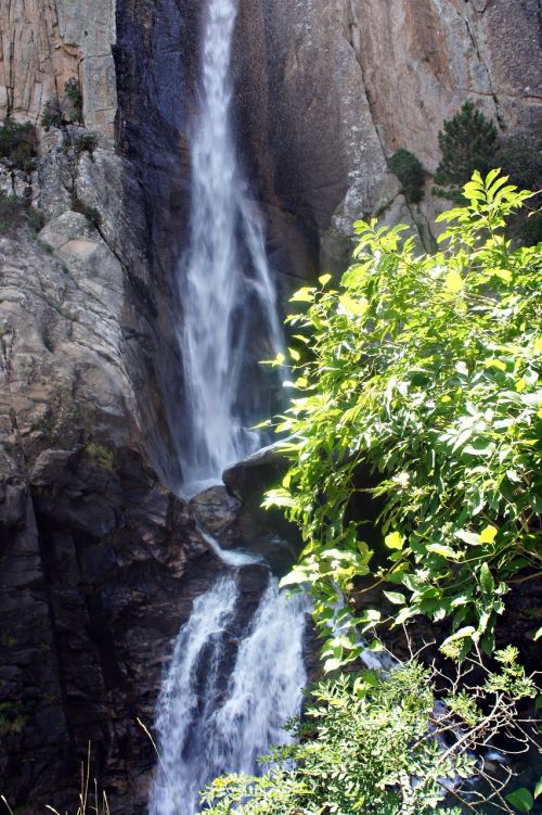 waterfall sun trees