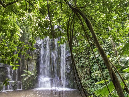 waterfall nature landscape