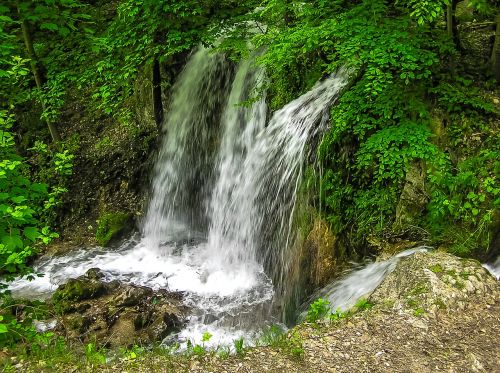 waterfall nature forest