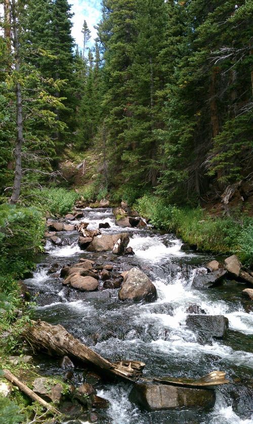 waterfall forest streams