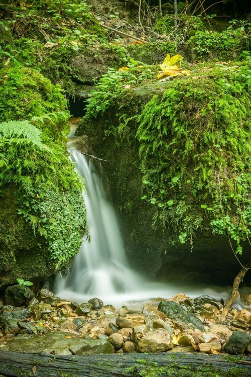 waterfall bach water