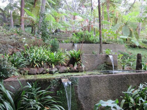 waterfall tropical garden nature