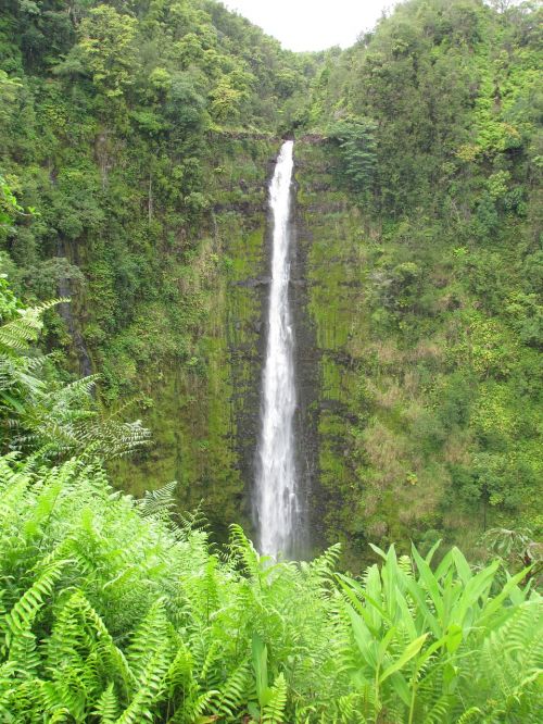 waterfall nature flow