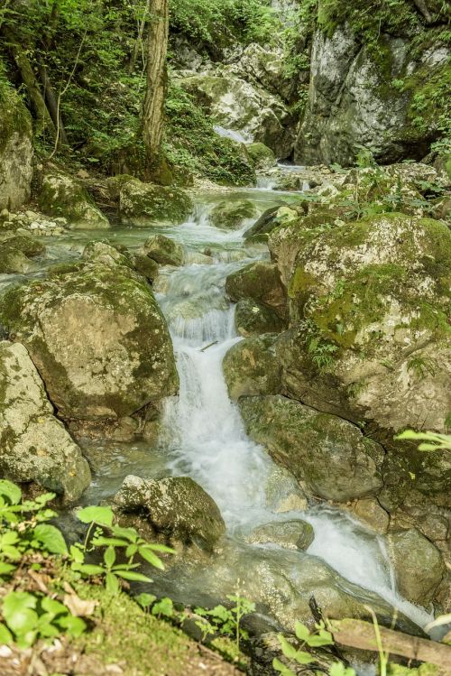 waterfall bear protective gorge austria styria