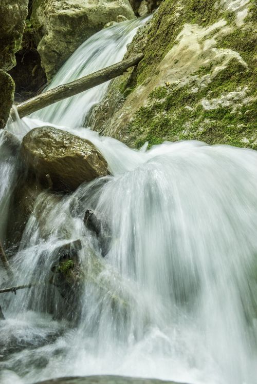 waterfall bear protective gorge austria styria