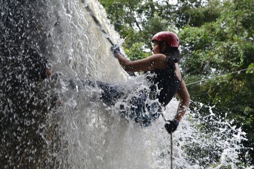 waterfalls fun trees