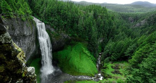 waterfalls green grass