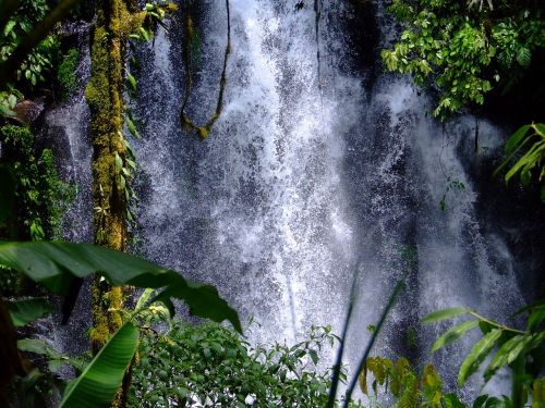 waterfalls cedar philippines