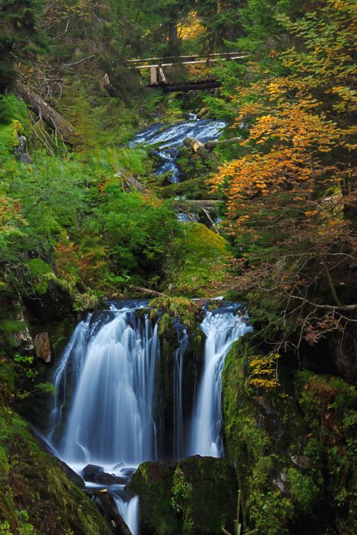 Waterfalls In The Forest