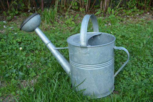 watering can garden vegetable garden