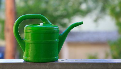 watering can wet water