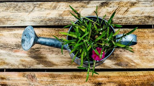 watering can garden box