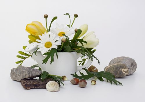 watering can spring greeting freesia