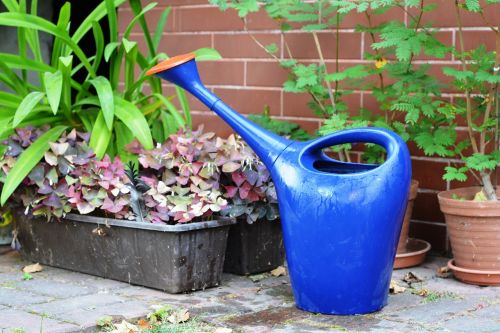 watering can watered watering