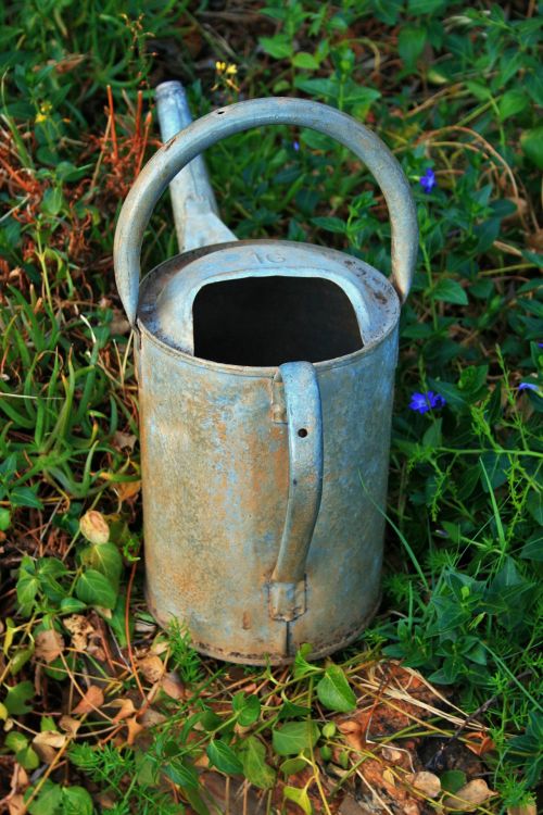 Watering Can On A Wall