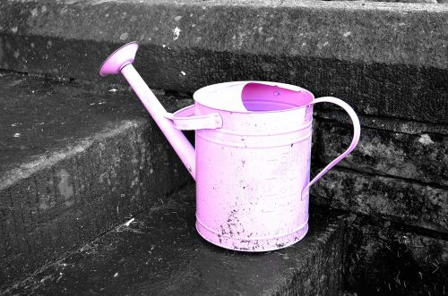 Watering Can