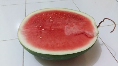 watermelon fruit nutrition