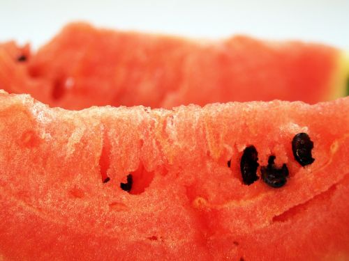 watermelon slice isolated
