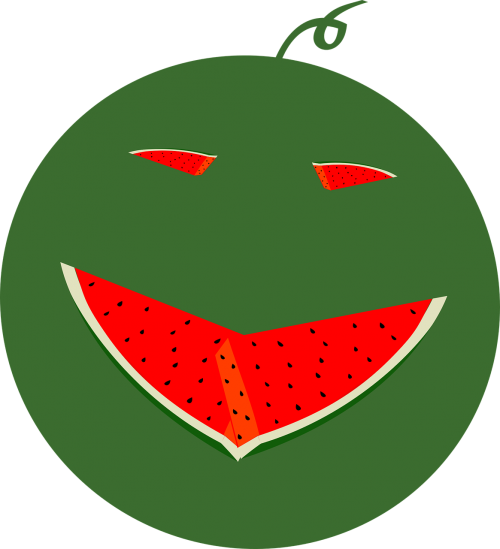 watermelon face fruit