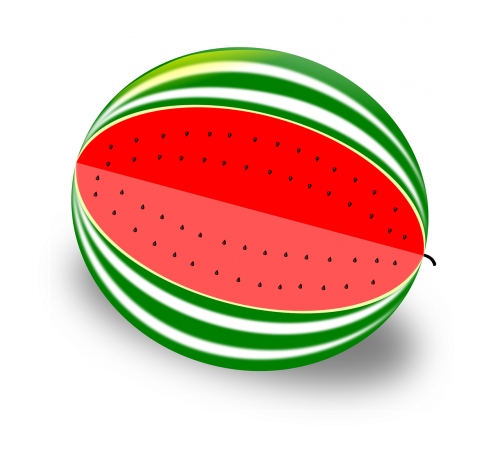 watermelon fruit melon