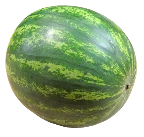 watermelon seedless fruit