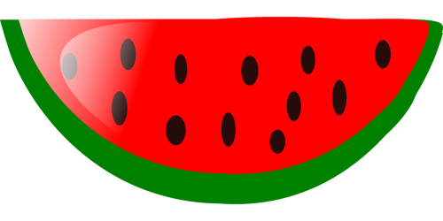 watermelon slice fruit