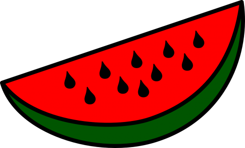 watermelon melon slices