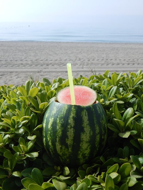 watermelon  beach  summer