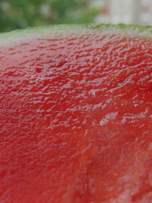 watermelon melon red