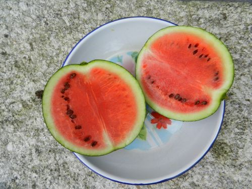 watermelon dessert food