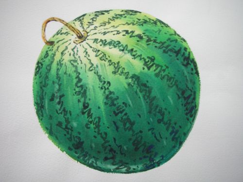 watermelon painting watercolor