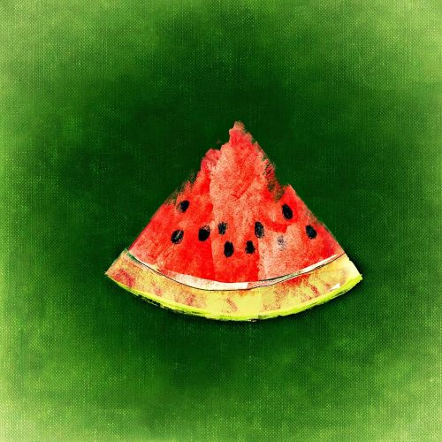 watermelon watercolor fruit