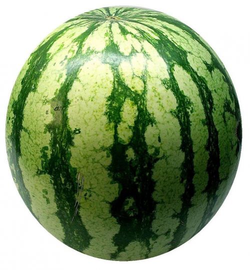 watermelon melon fruit