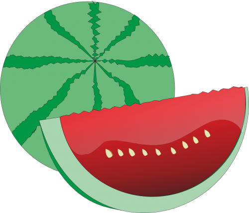 watermelon fruit berry