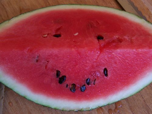 watermelon red pip