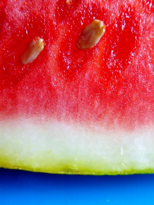 watermelon red pulp