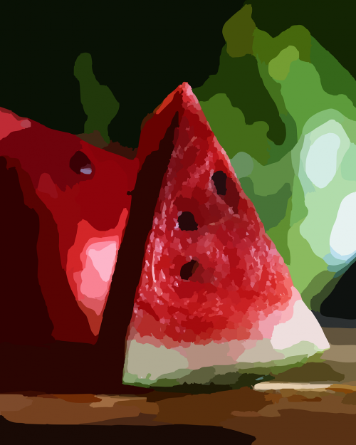 watermelons food melon